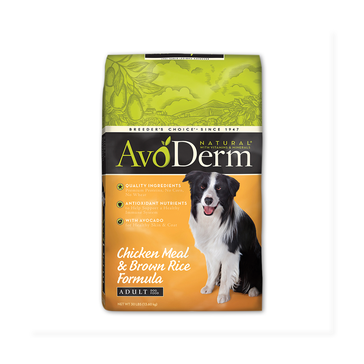 AvoDerm อโวเดิร์ม อาหารสำหรับสุนัขโต สูตรไก่และข้าวกล้อง