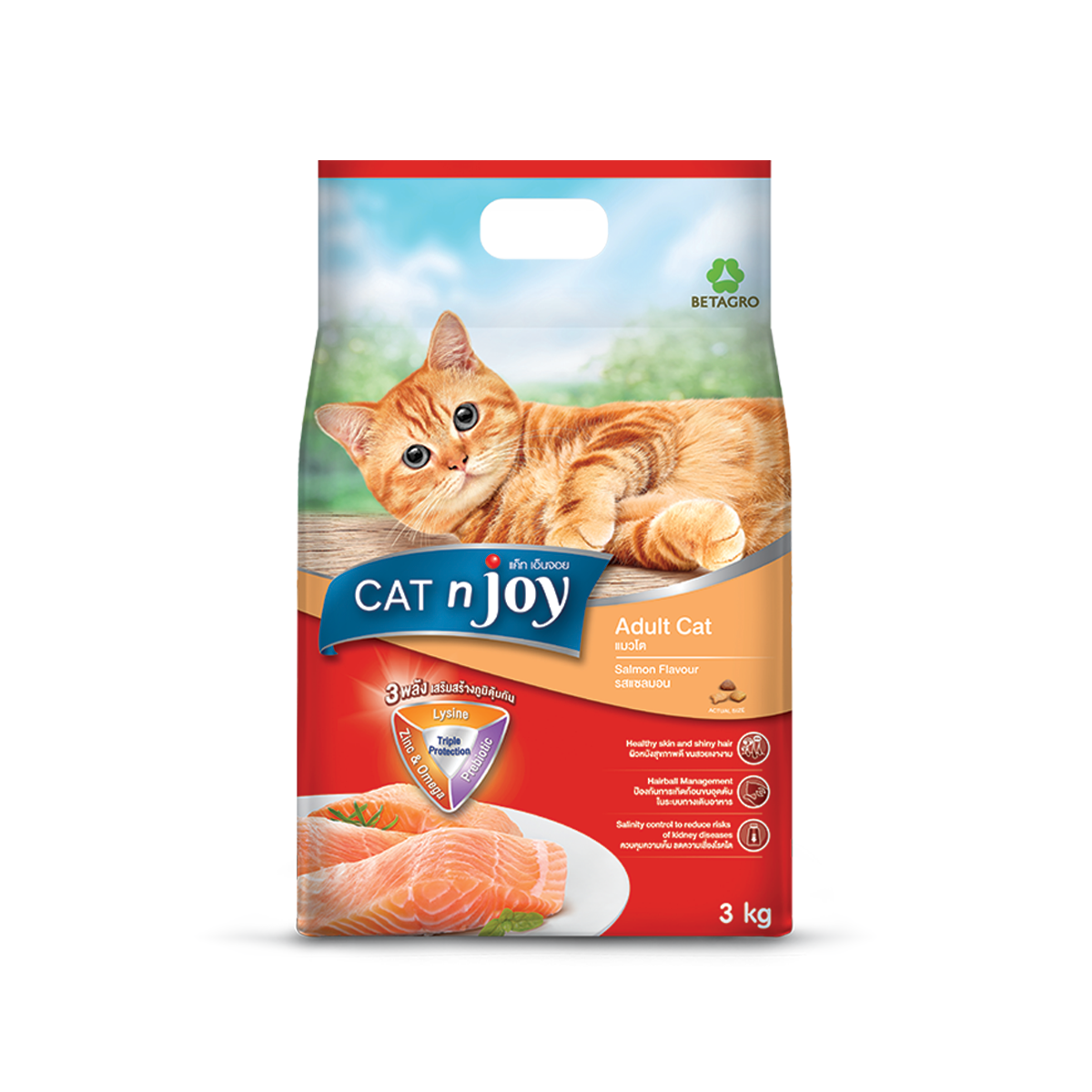 Cat'njoy แค็ท เอ็นจอย อาหารแมวรสแซลมอน