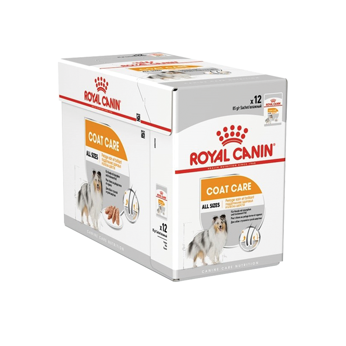 [MANOON] ROYAL CANIN  Coat Care  โรยัล คานิน อาหารเปียกสำหรับสุนัขสูตรบำรุงขน ขนาด 85 กรัม (12 ซอง)