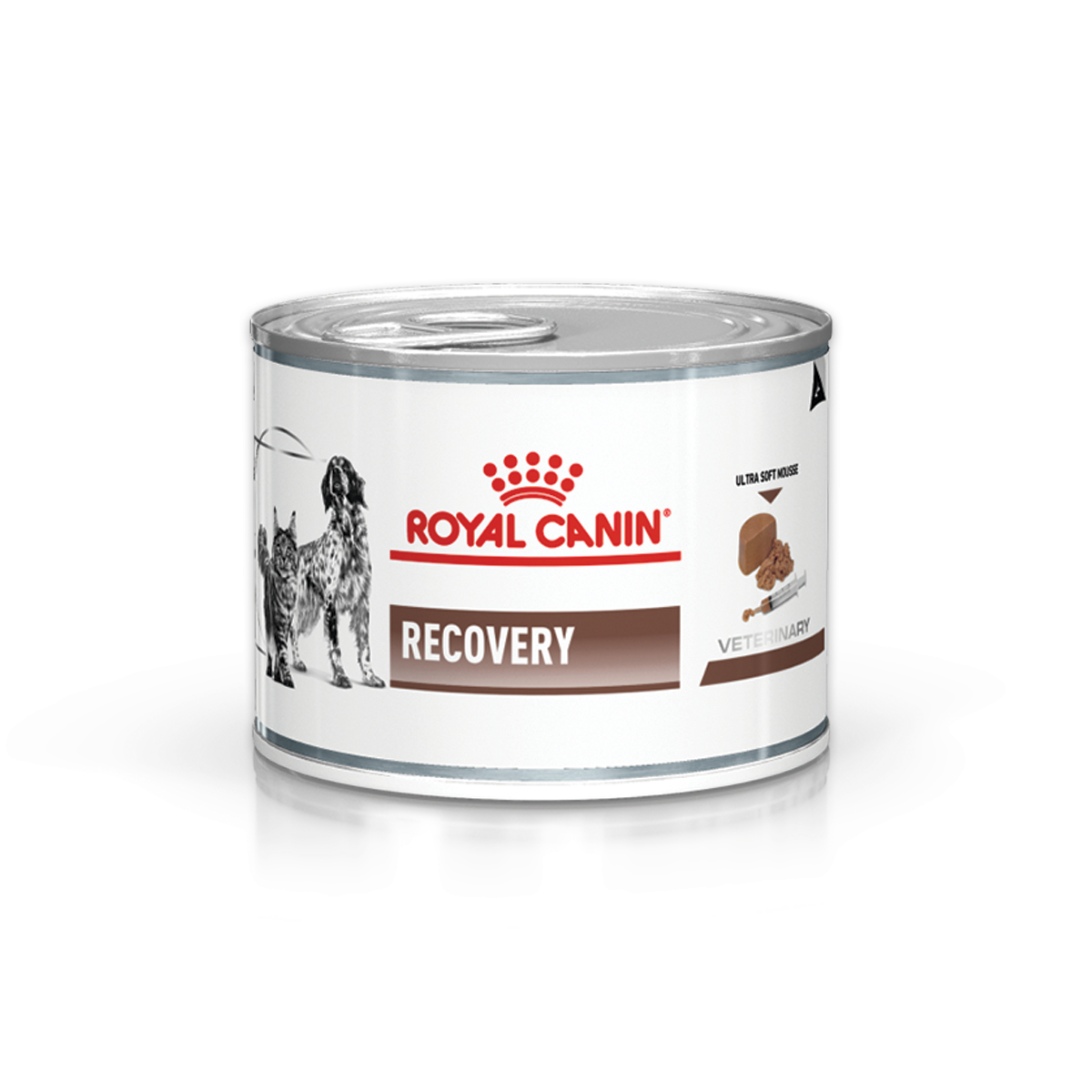 royal canin recovery dog food